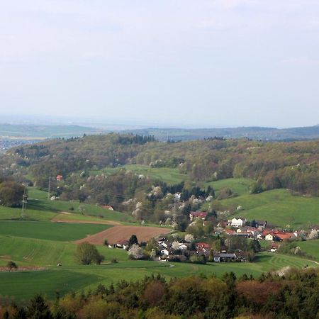 Gasthaus Zum Hohenstein Hotel Ober-Kainsbach Bagian luar foto