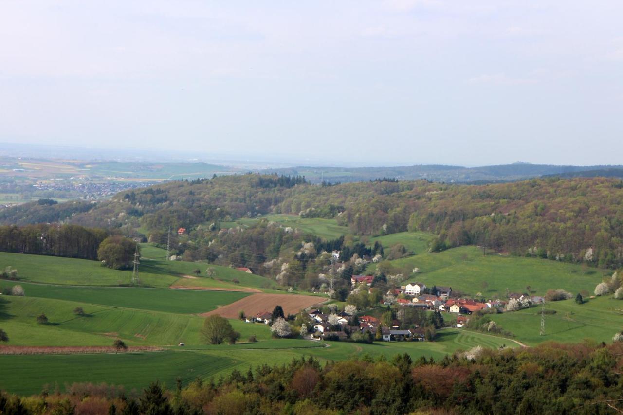 Gasthaus Zum Hohenstein Hotel Ober-Kainsbach Bagian luar foto